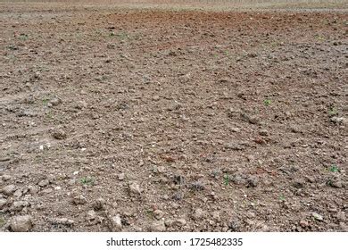 Ground Loop Currents 的图像结果