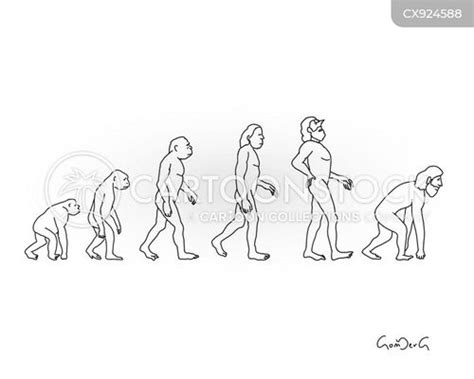 Image result for Human Evolution Cartoon