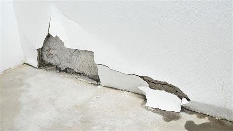 Homeowner's Rights After Water Intrusion | LubinPhamCaplin