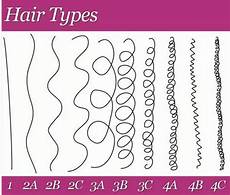 How To Determine Your Hair Type Texture by The Best Methods To Determine Your Hair Type Texture How To Determine Your Hair Type Texture