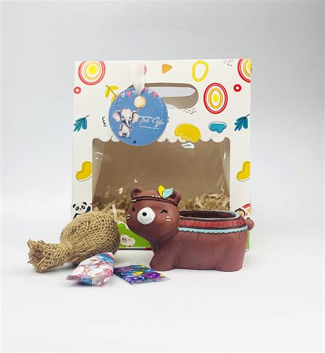 JungleBloom Planters for Return Gifts– Stylish,Eco-Friendly Garden ...