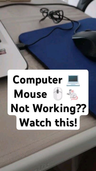 Computer Mouse Not Working 的图像结果