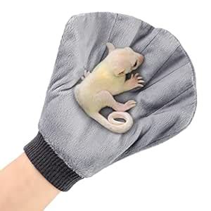 Unittype 2 Pcs Sugar Glider Bonding Mitt Calming Hedgehog Supplies ...