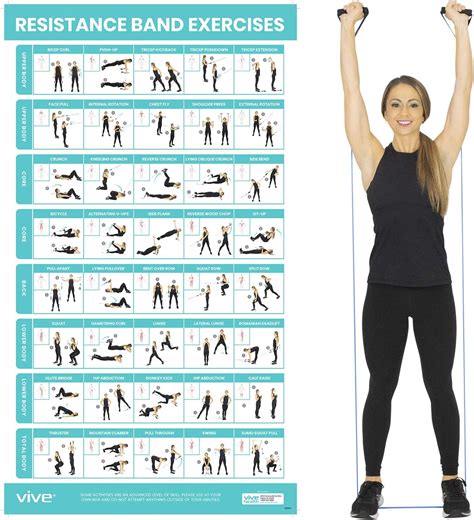 Vive Resistance Band Workout Poster - Laminated India | Ubuy