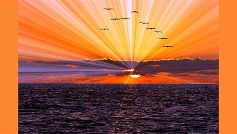 Oneness Blessing- With Denise Musser and Katrina Jackson, Certified ...