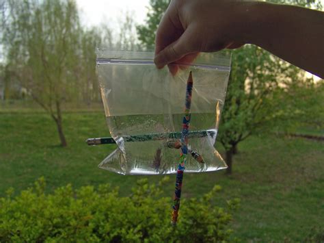 Science Project Simple Water 的图像结果