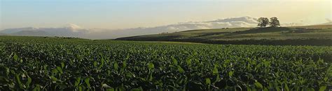 Creating a Stronger Agricultural Team | Corteva Agriscience