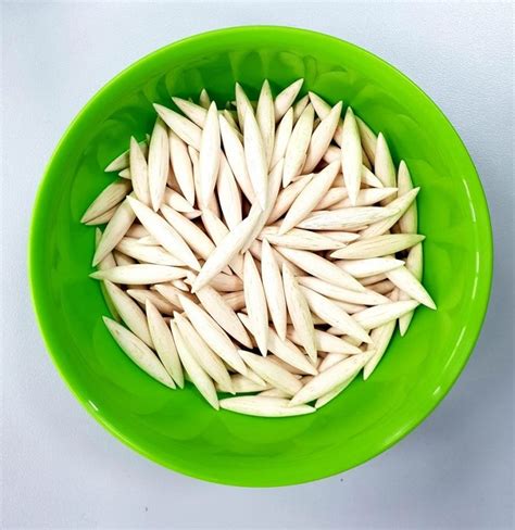 Fishing Float Mastery: Elevate Your Angling Experience