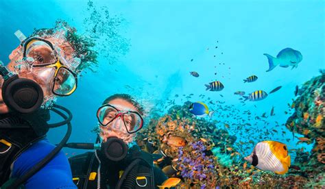 Scuba diving Antigua: Best spots & what to expect | SANDALS
