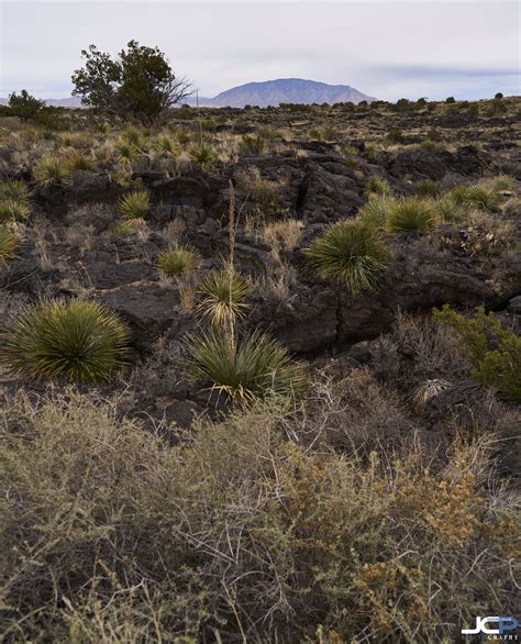Valley of Fires fields of lava in New Mexico — Jason Collin Photography