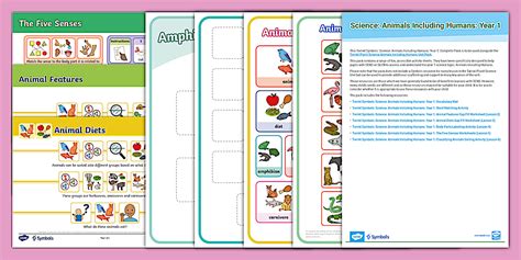 Science Sign Twinkl 的图像结果