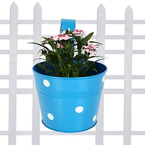 Know All About the Different Types of Flower and Plant Pots – TrustBasket
