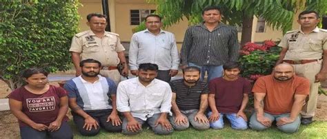 Online fraud gang with Chinese link busted