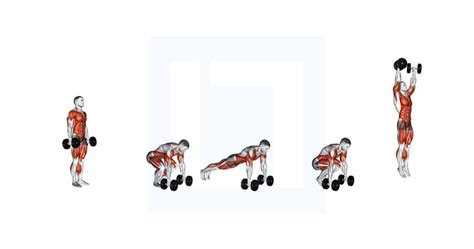 Image result for Burpee Example