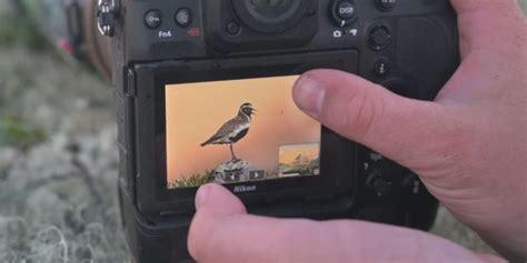 Image result for Nikon Camera Tutorial