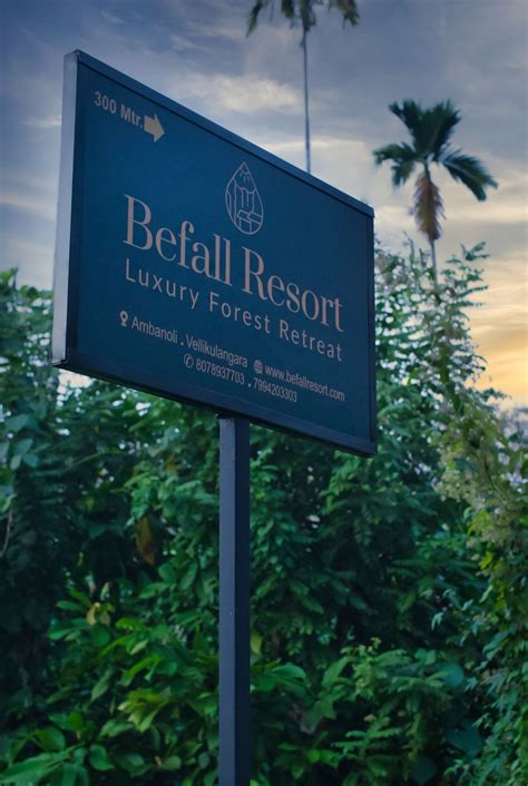 Explore - Befall Resort | Luxury Forest Retreat