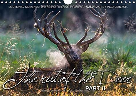 Emotional Moments: the Rut of the Deer : Amazon.in: Books