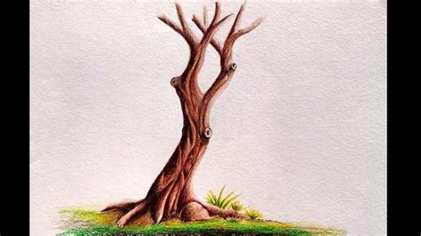 Image result for Tree Trunk Drawing