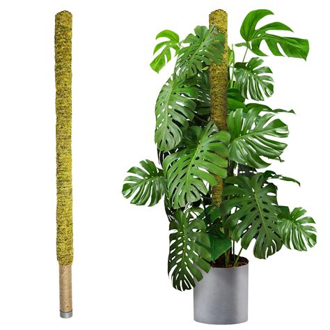 Snapklik.com : DUSPRO 59 Inches Large Moss Pole For Plants Monstera ...