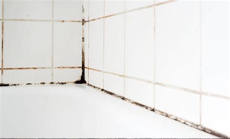 Waterproofing for Wet Areas & Bathrooms: Achieve First-Time-Right