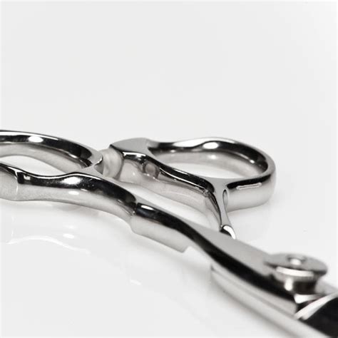 PASSION Tijeras Japonesas - Grupo Yosvic