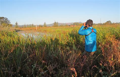 CAPS 2025 Portland - Association for Advancing Participatory Sciences