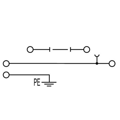 Test-disconnect terminal | WDK 2.5/TR-DU-PE | 1247420000
