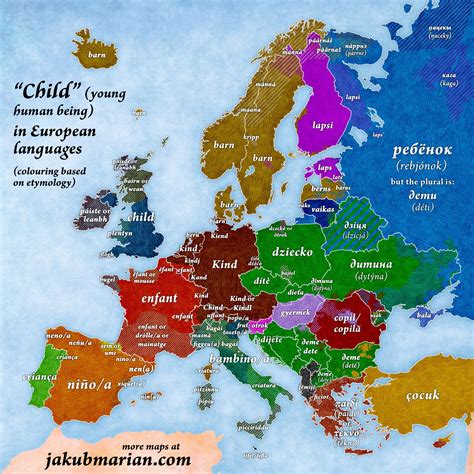 The map below shows the word "child" (in the sense of a "young human ...