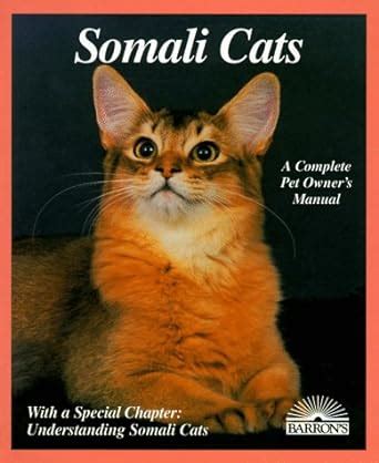 Buy Somali Cats: Everything About Acquisition, Care, Nutrition ...