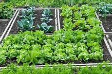 fare l orto in giardino orto in pochi metri 10 consigli come e cosa piantare fare l orto in giardino orto in pochi metri 10 consigli come e cosa piantare