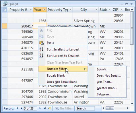 Sorting and Filtering Data MS Access 的图像结果