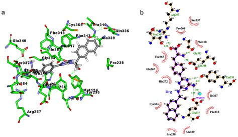Molecular Dynamics Simulation of Tryptophan Hydroxylase-1: Binding ...