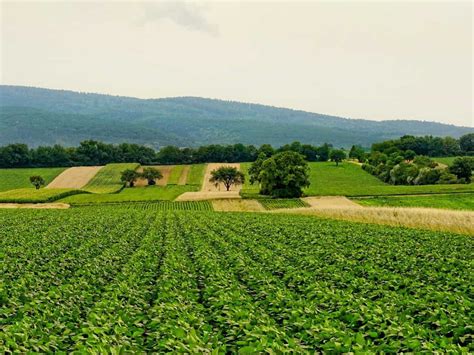 Economy continues to gain momentum on GST 2.0, festive season, says ...