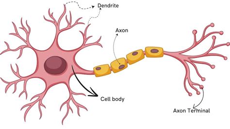 Image result for Perceptron Code in Python