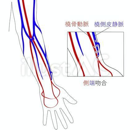 Image result for Pyhton Coding Image