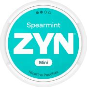 Buy Zyn Nicotine Pouches online – SnusExpress.com!