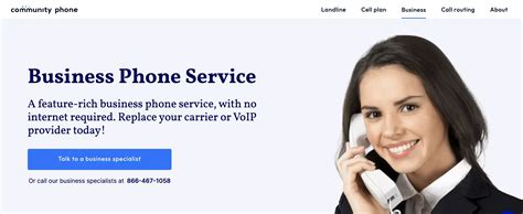 Image result for Phone Line Service
