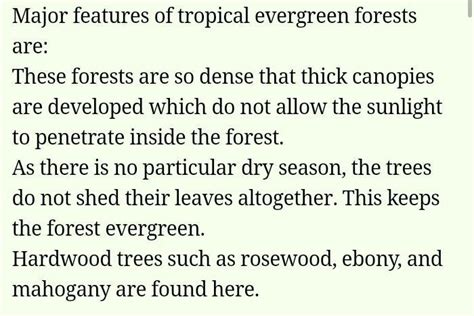 Tropical Evergreen Forests are so dense that the shadow of their ...