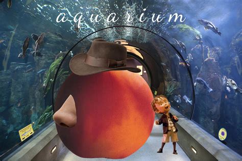 Visit the fish t o d a y : r/surrealmemes