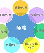 Image result for 唾液