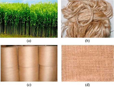 Image result for Process of Jute Making
