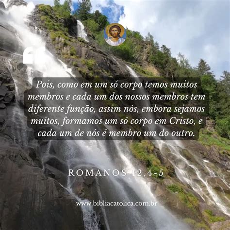 Evangelho do dia - Segunda-feira, 1º de janeiro de 2024 - Lucas 2,16-21 ...