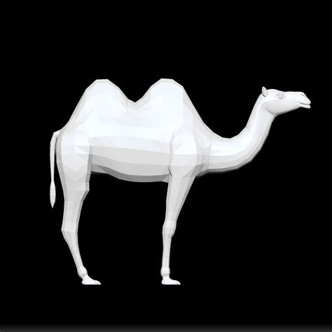 STL file Two Humps Camel 🐪 ・3D printable model to download・Cults