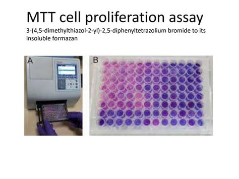 Image result for MTT Assay Using OriginPro