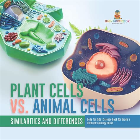 Plant Cells vs. Animal Cells : Similarities and Differences | Cells for ...