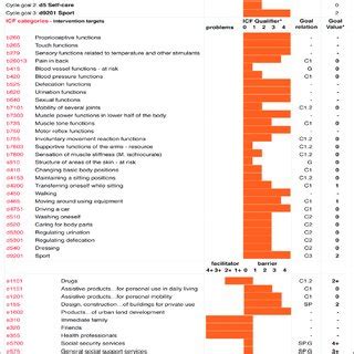 Image result for International Classification of Functioning Disability and Health