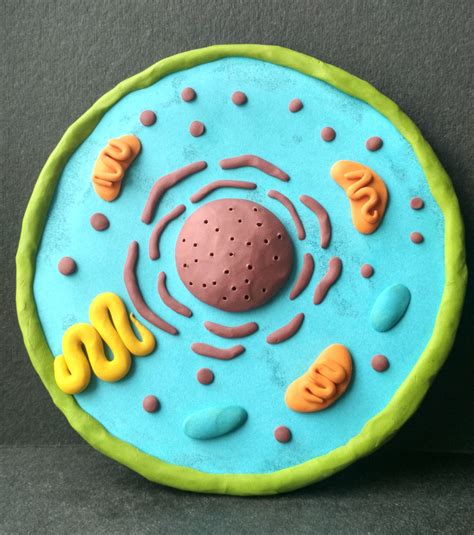 Cute Cell Graphics 的图像结果