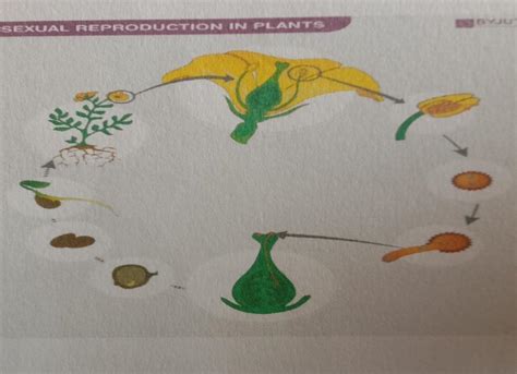 Observe the diagrams and write your observations - Brainly.in