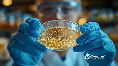 Understanding Potable vs. Nonpotable Water Sources - Olympian Water ...