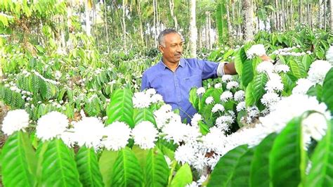 Wayanad farmer Roymon wins Karshakothama Award - KERALA - GENERAL ...
